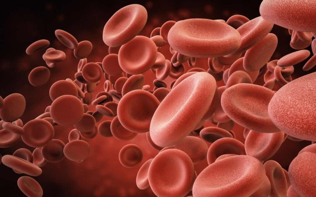 Czerwienica prawdziwa – gdy szpik wytwarza za dużo czerwonych krwinek